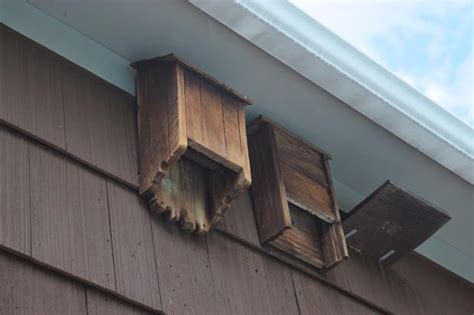 galvanized sheet metal for bat houses|bat houses for attic.